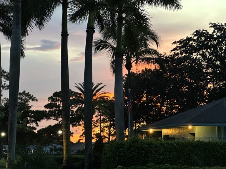 Delray Villas 3 - Palm Trees at Sunset - Web Optimized